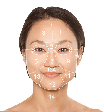Facemapping Dermalogica